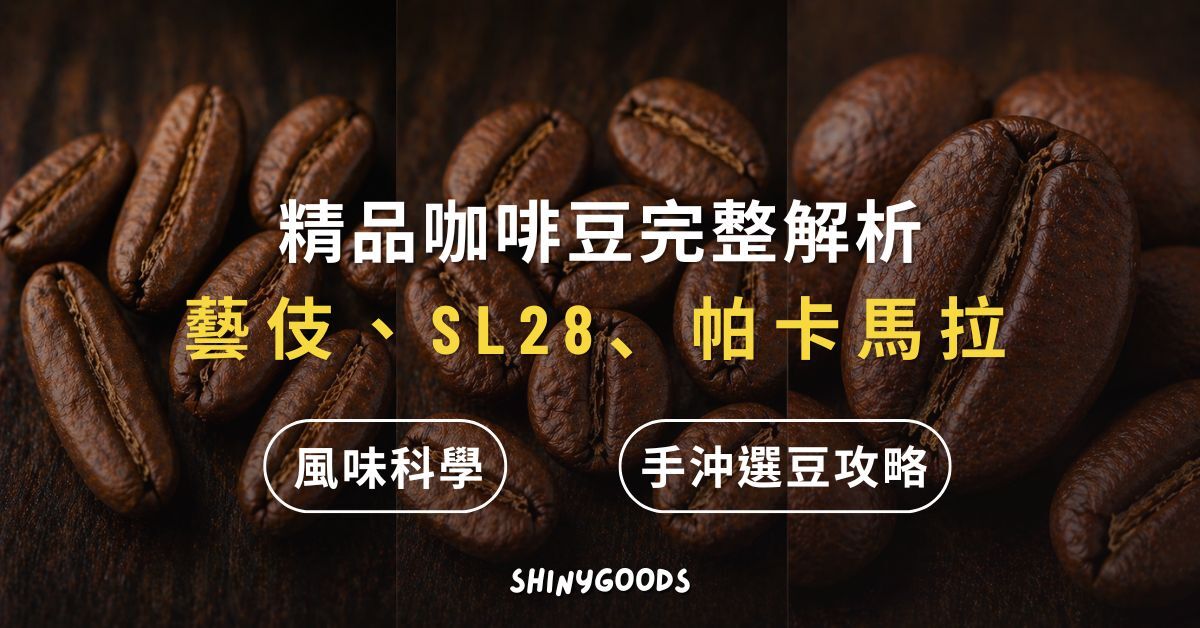 精品咖啡豆－藝伎、SL28、帕卡馬拉三大品種並排展示