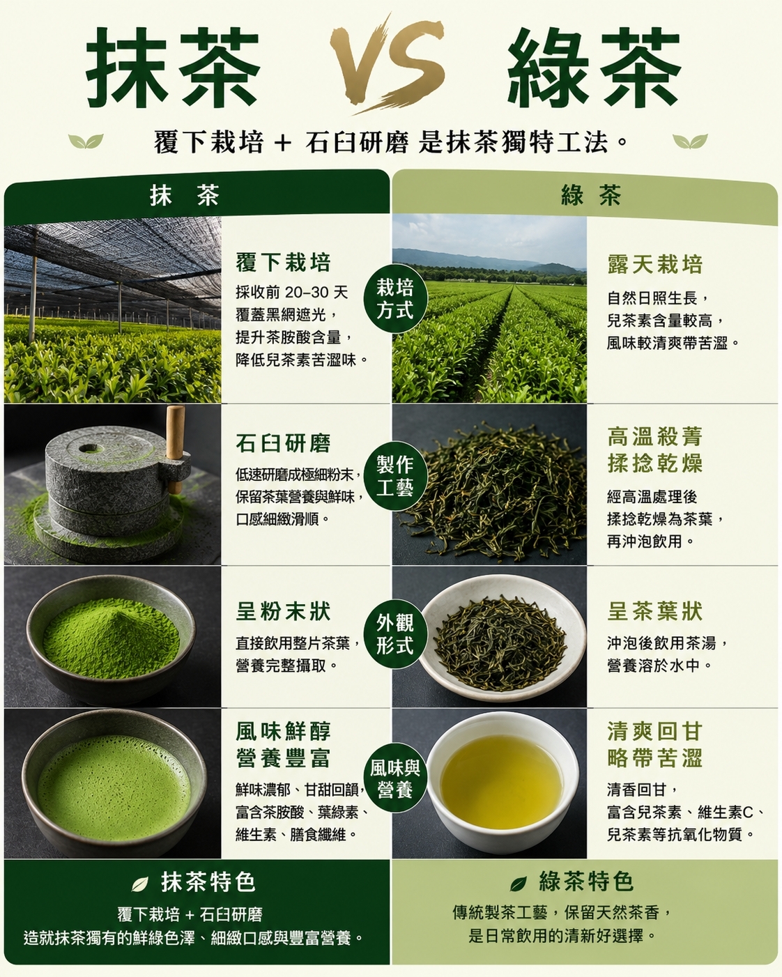 抹茶 vs 綠茶 覆下栽培 石臼研磨 工法比較
