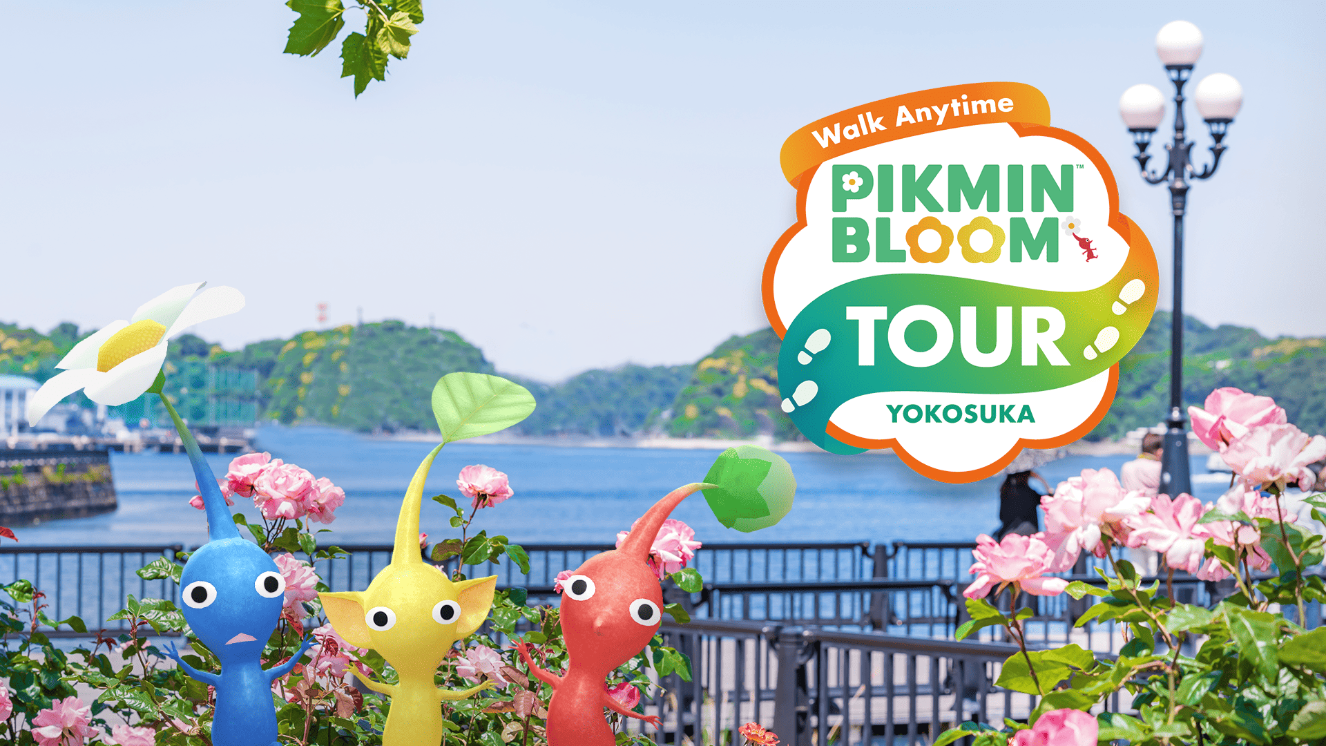 Pikmin Bloom 漫步各地 橫須賀 Tour 主視覺