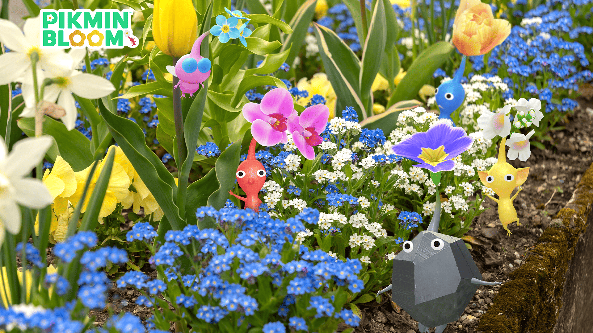 皮克敏 Pikmin Bloom 2026 社群週 巨花與花朵徽章攻略