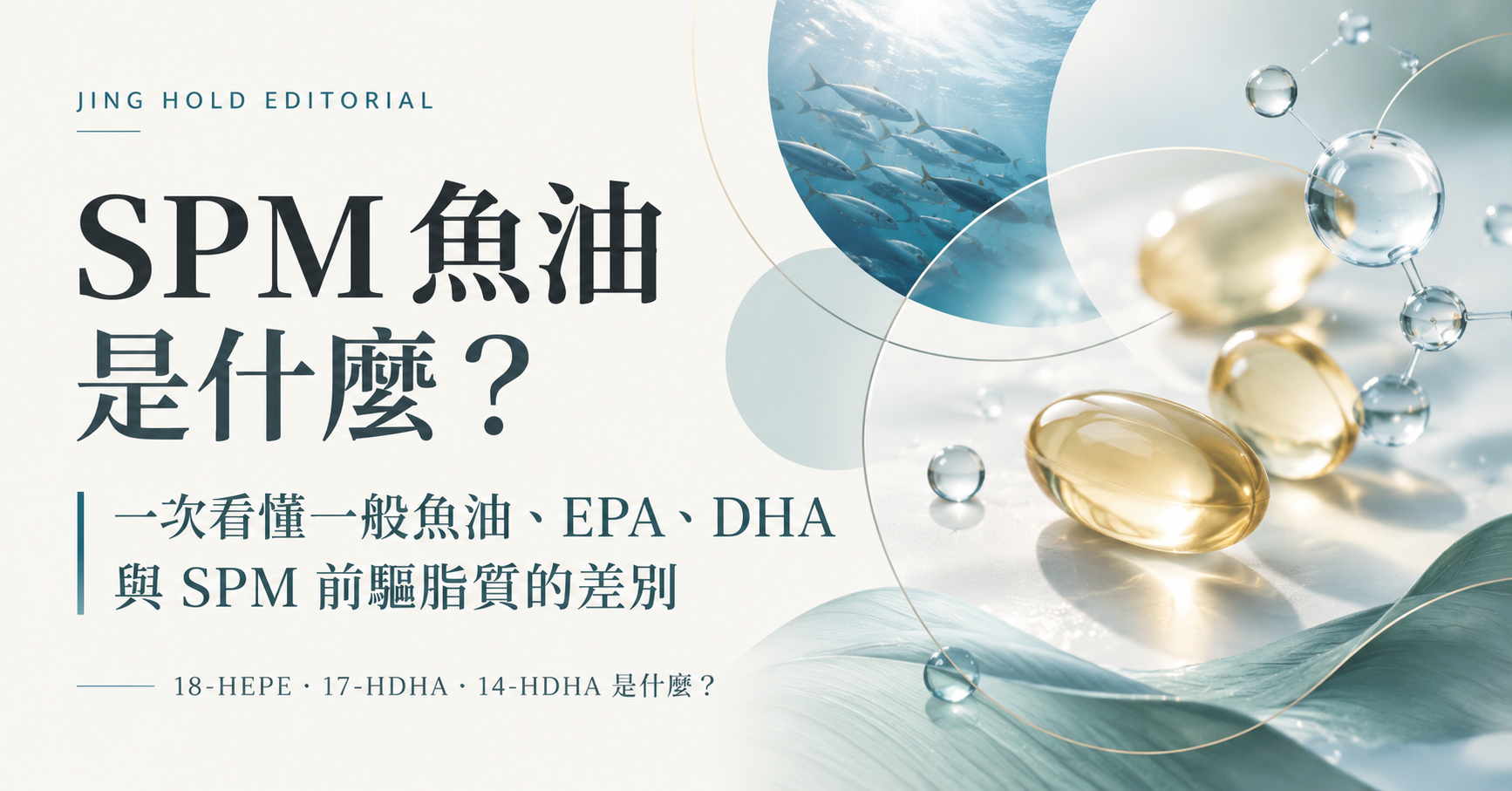 SPM 魚油是什麼？一般魚油、EPA、DHA 與 SPM 前驅脂質差異