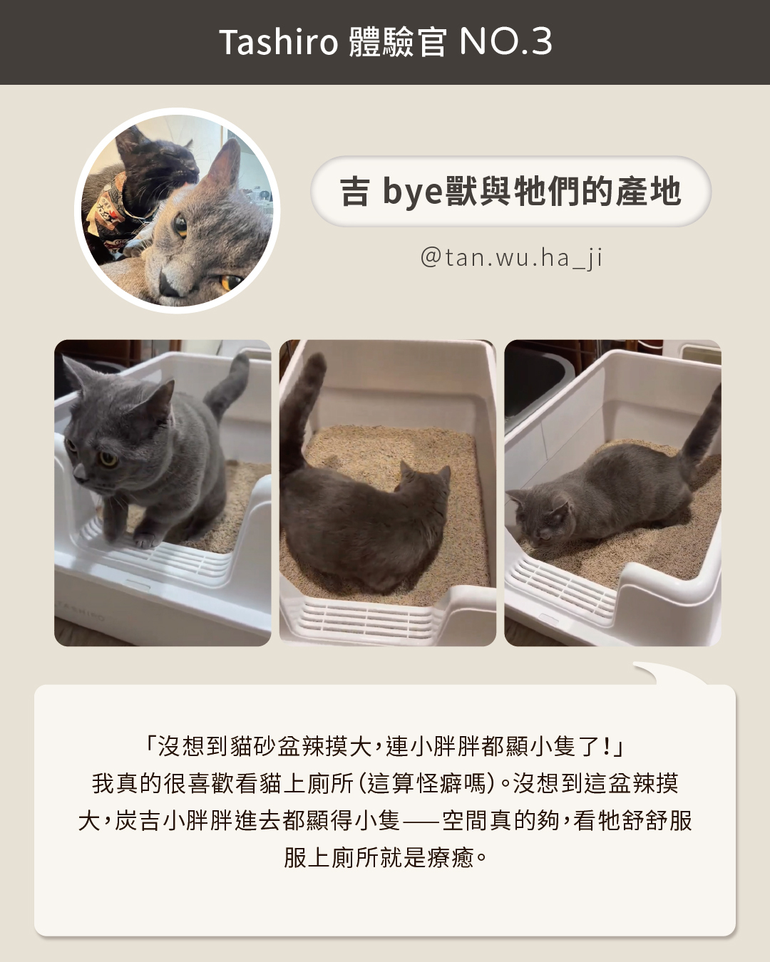 Tashiro 豆腐盒 3