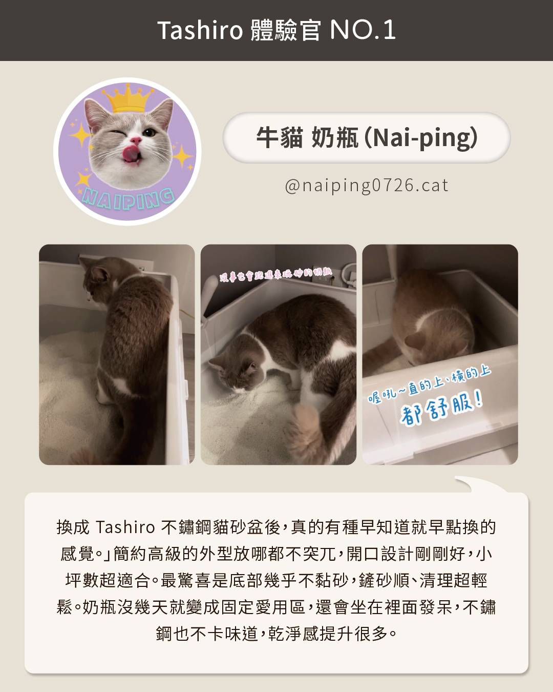 Tashiro 豆腐盒 1