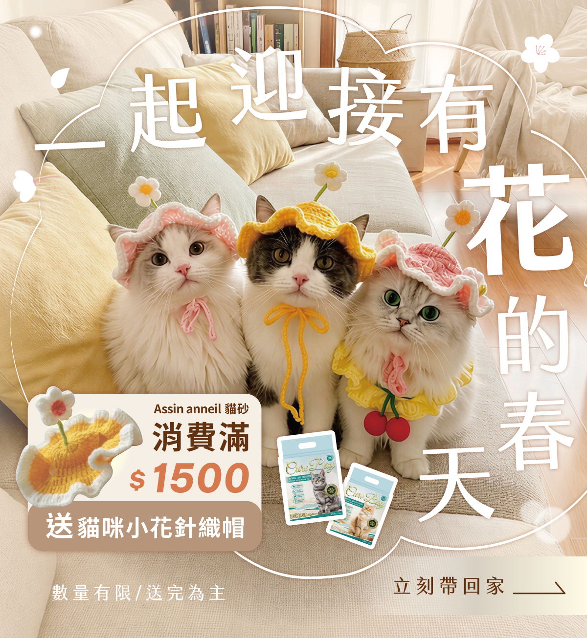 安心貓砂豆腐砂滿1500送貓咪小花針織帽