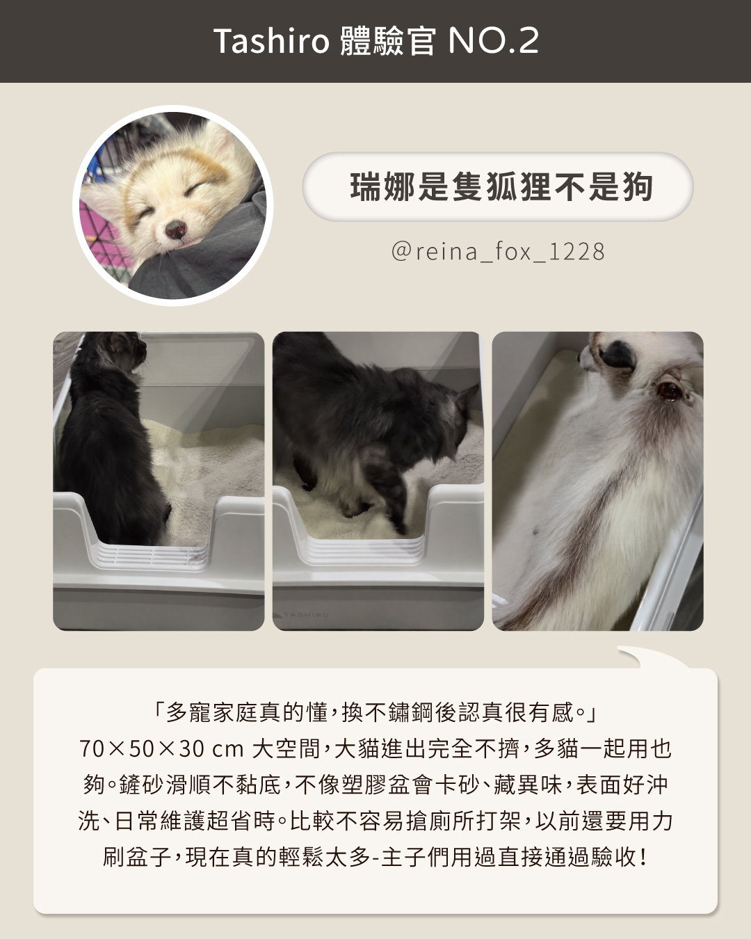Tashiro 豆腐盒 2