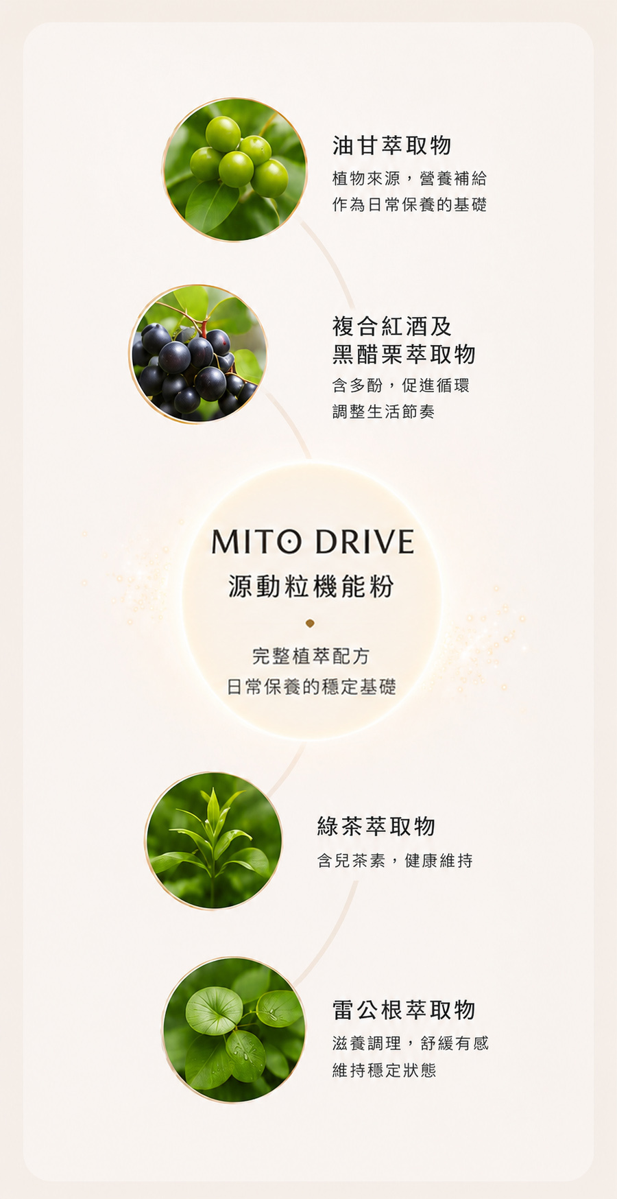 源動粒機能粉核心配方