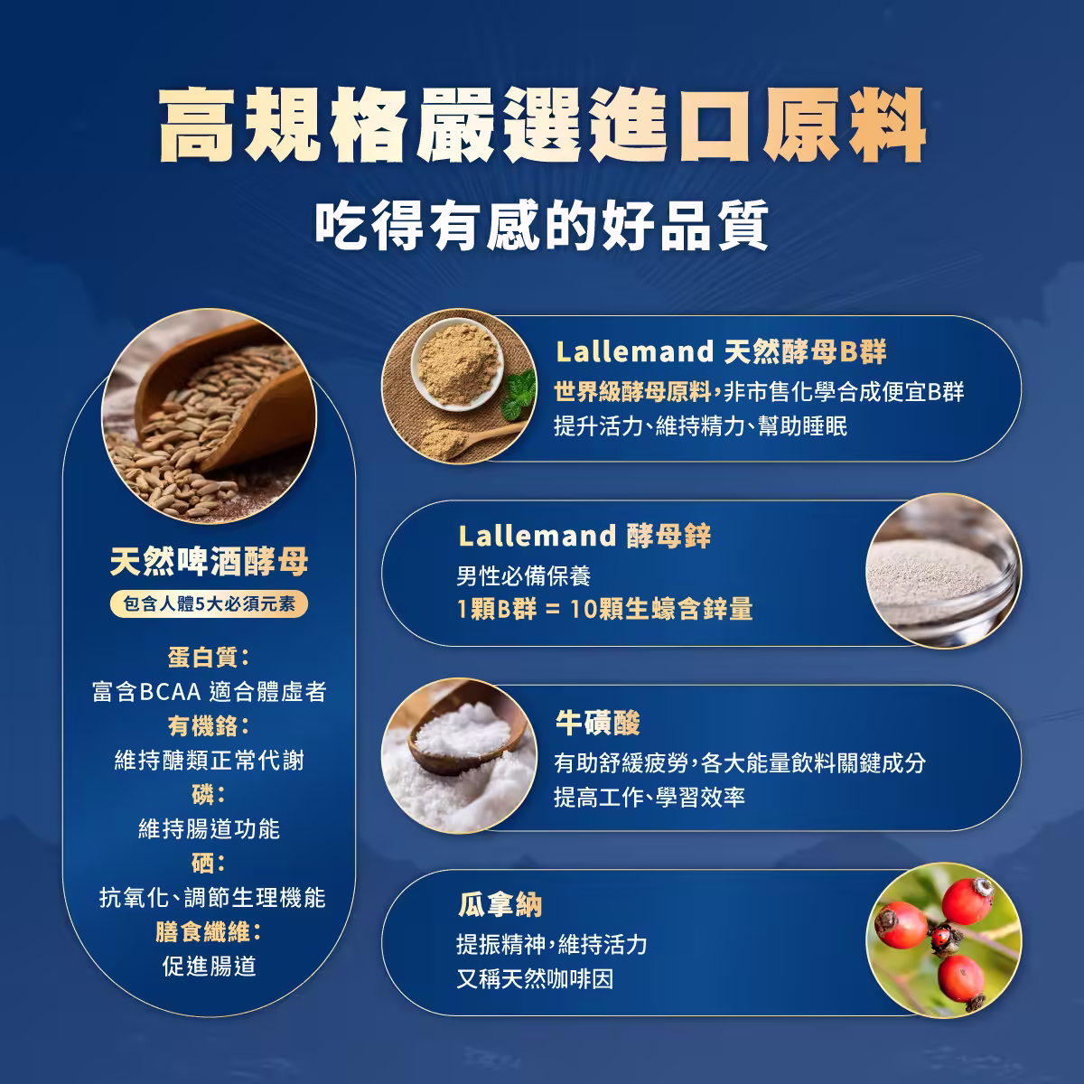 TERRA-阿波羅加強版男性B群銷售頁_05