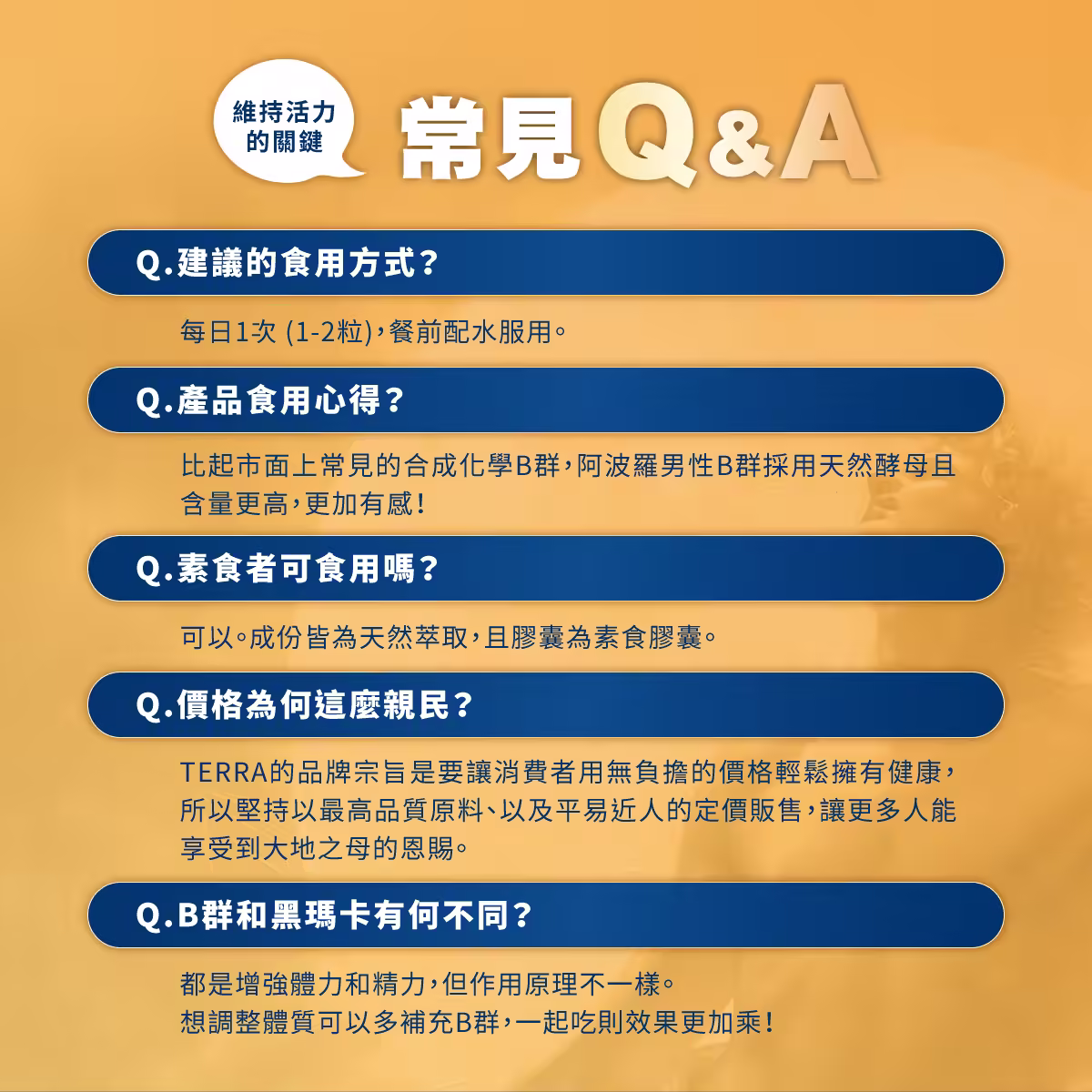 TERRA-阿波羅加強版男性B群銷售頁_09