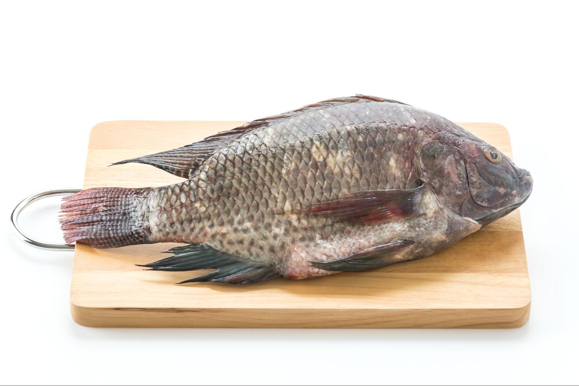 吳郭魚