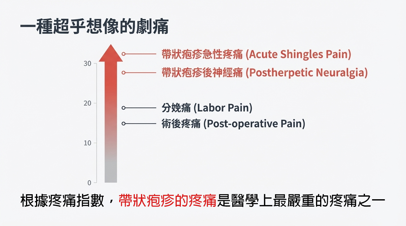 帶狀皰疹概念示意圖：可能潛伏、身體較弱時發作（示意）