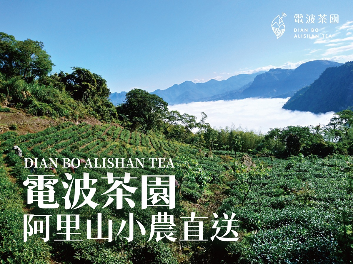 一杯來自阿里山的手沖好茶