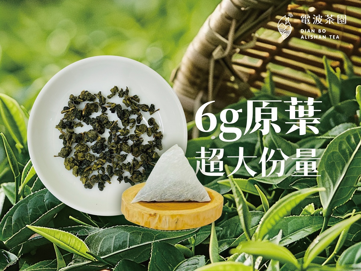6克原葉大份量茶包