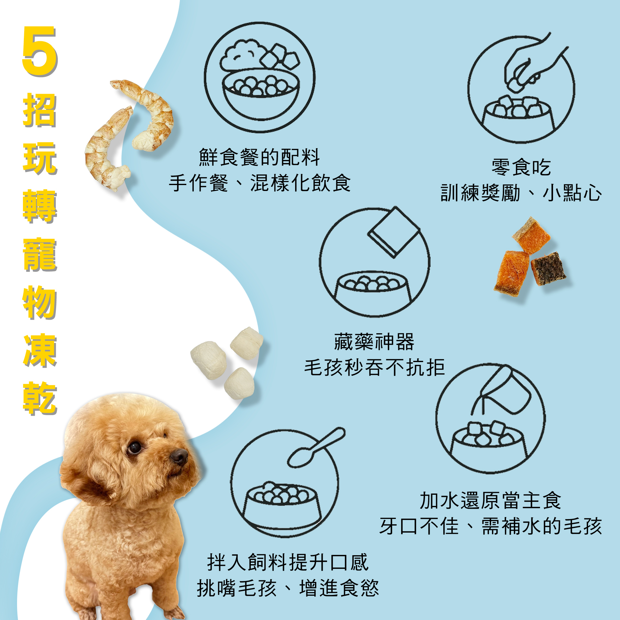凍乾商品介紹-5
