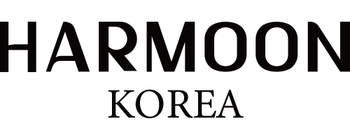 H LOGO