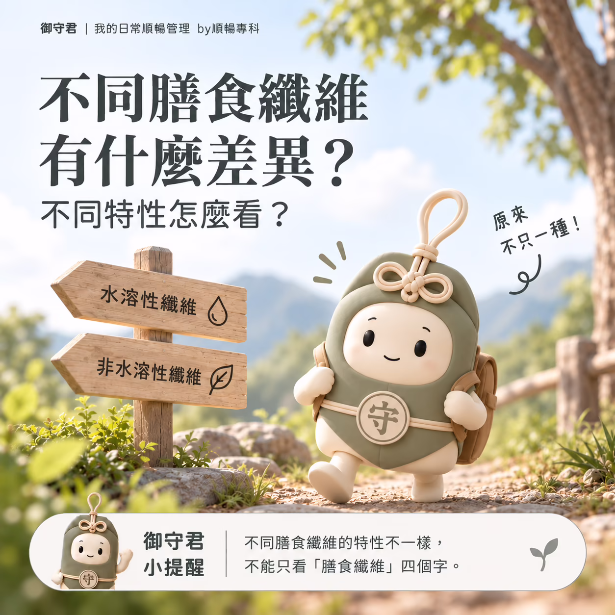 不同膳食纖維有什麼差異？不同特性怎麼看？