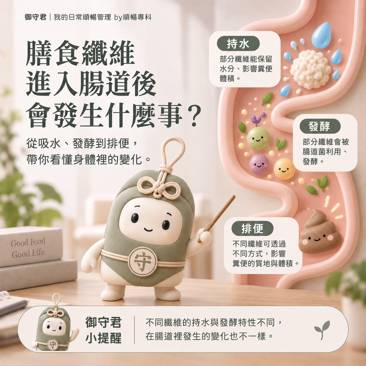 膳食纖維進入腸道後會發生什麼事？從吸水、發酵到排便