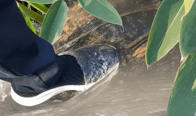 asset_972883_image_big (1)